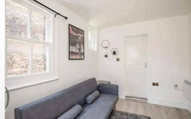 Spacious Serenity in the Heart of Central London