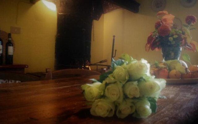 Tenuta Bichi Borghesi