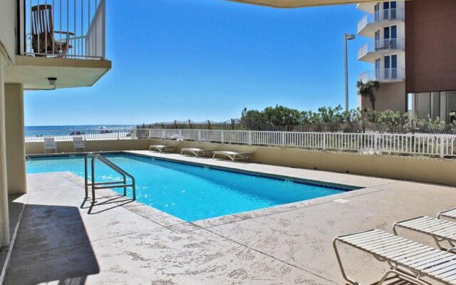 Whaler by Youngs Suncoast