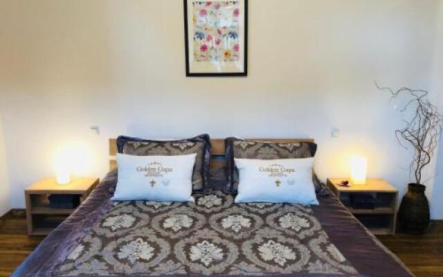 Golden Gapa Central Family Apartment 28