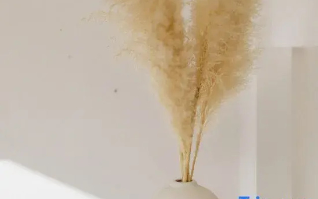 THE ARIX House & Studio