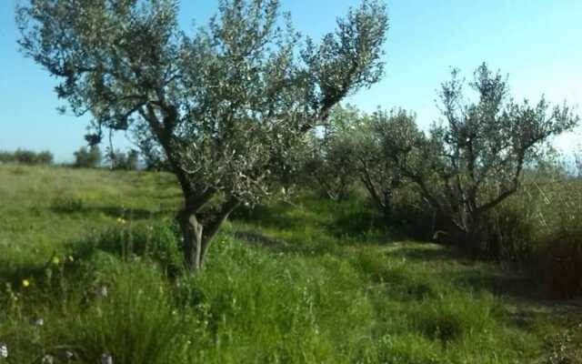 B&B Il Nido di Alice