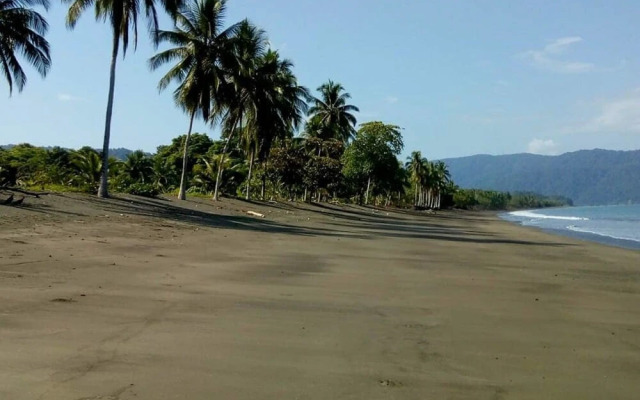 Rio Mar Bahía Solano Choco Colombia