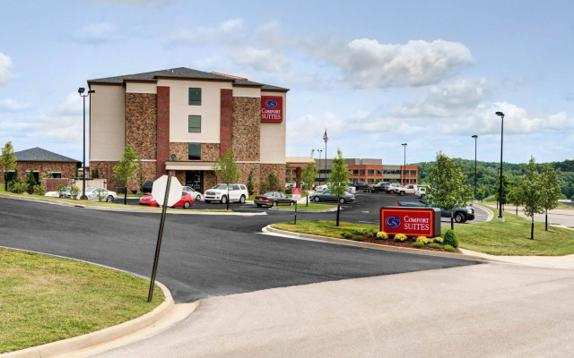 Comfort Suites Bridgeport - Clarksburg