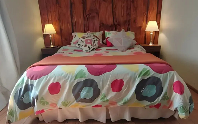 Oceana Suites Pucon Tours