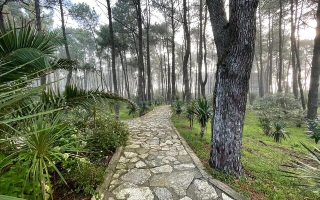 Andamati Beach Resort