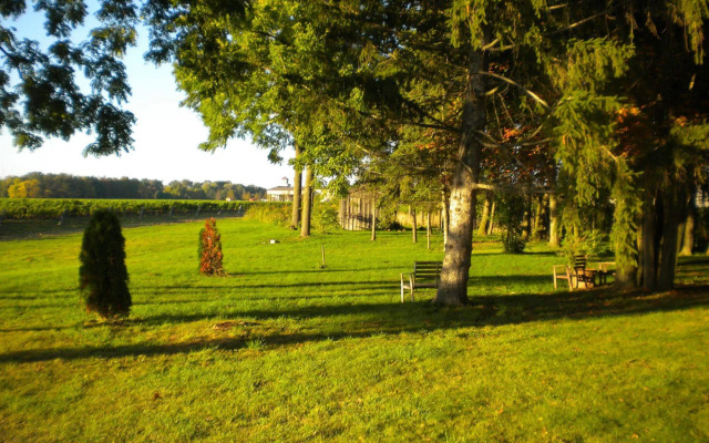 Vineyard Villa Bed & Breakfast