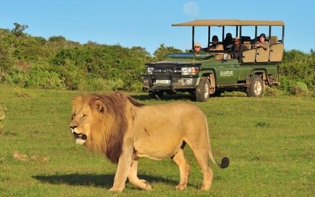 Shamwari Sarili Lodge