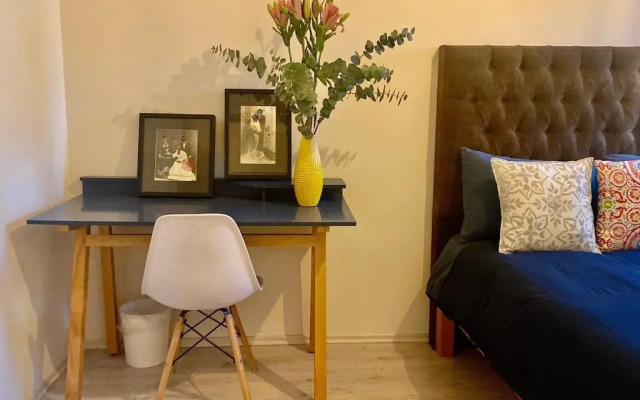 Amazing Cozy Apartment in Condesa