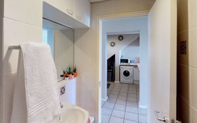 Dolphin Beachfront Condo