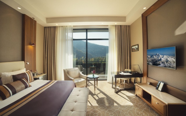 Borjomi Likani Hotel