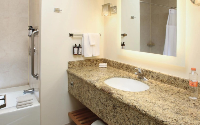 Crowne Plaza Torreon by IHG