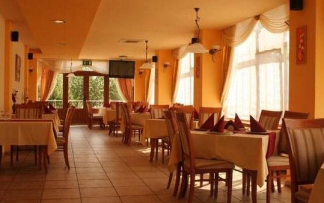Pension Andronic