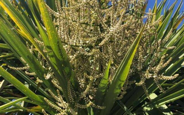 Lynwood House Self Contained Studio