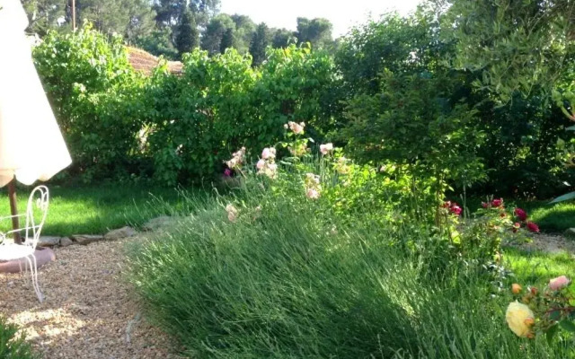 Manor House Domaine des Pins