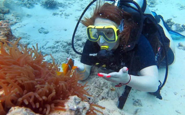 Sharks Bay Hotel & Padi Butterfly