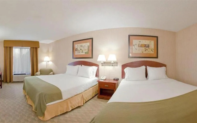 Spark by Hilton Lansing