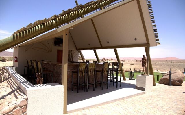 Desert Quiver Camp