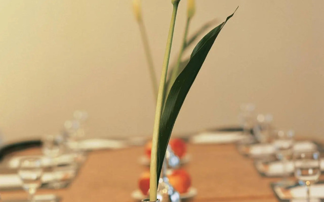 M Hotel - Different Hotels