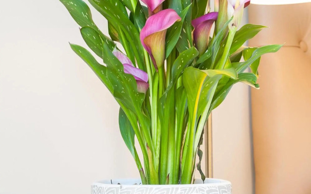 Evertsdal Guesthouse