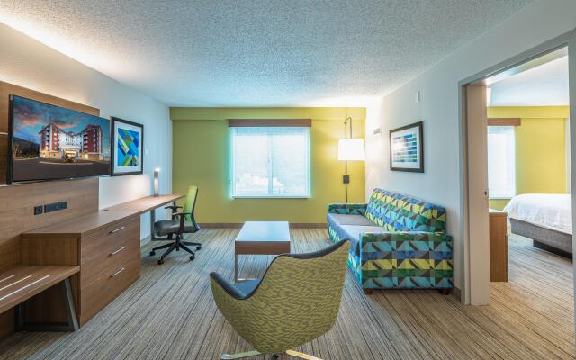 Holiday Inn Express & Suites Asheville Downtown by IHG