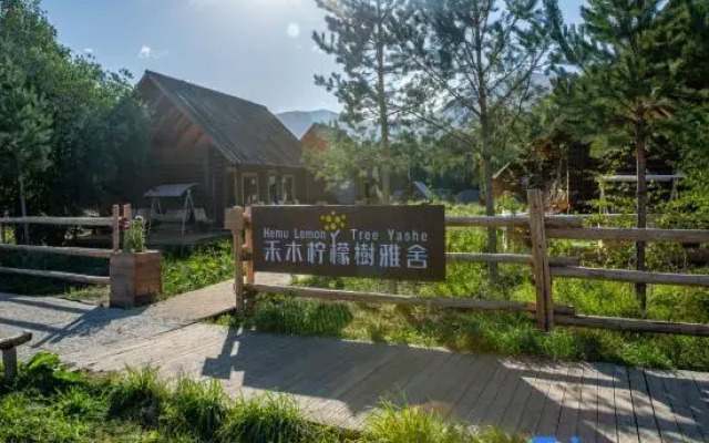 Hemu Lemon Tree Yashe