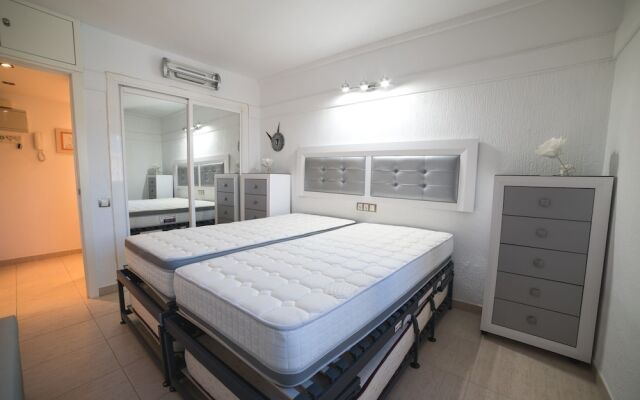 Las palmeras | 6 Pax | First Line | 1446-PAW