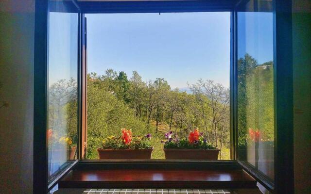 The most beautiful view