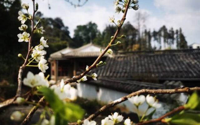 Qingtian Shanshe Inn