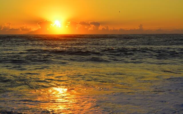 The Saint Augustine Beach House
