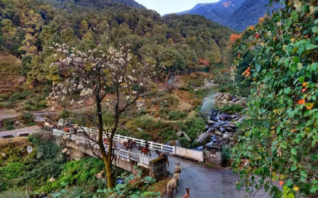Monkey Mud Hostel And Camps