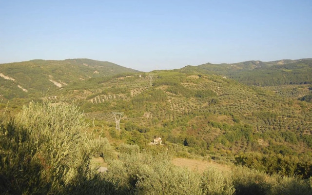 Verdidea - Poggio Aperto