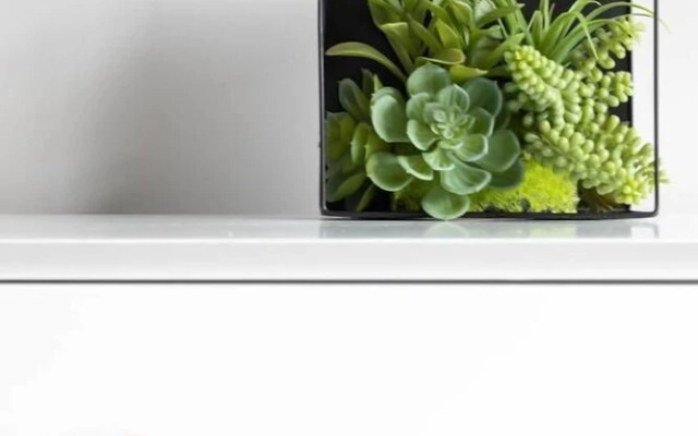 Vibrant 3br/4ba min to DT