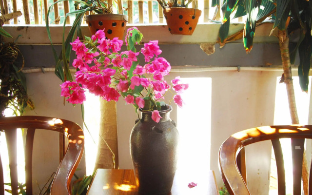 Seaside An Bang Homestay