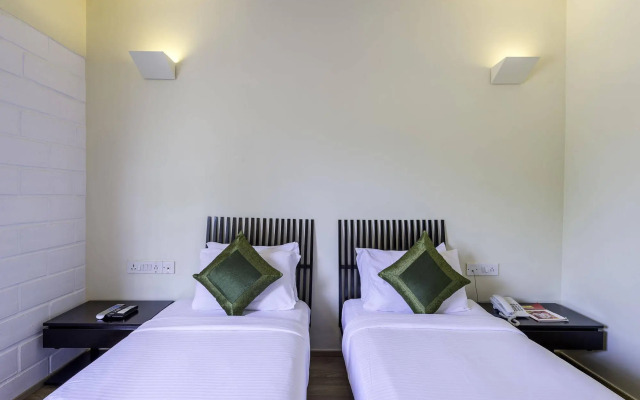 Mango Suites Maestro
