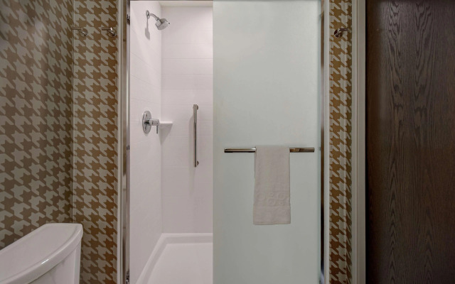 Home2 Suites by Hilton Kalamazoo Downtown