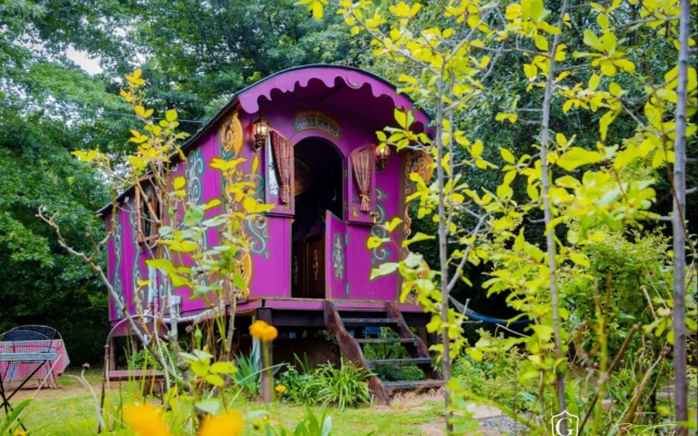 Gypsy Wagons and Vans, Clarens