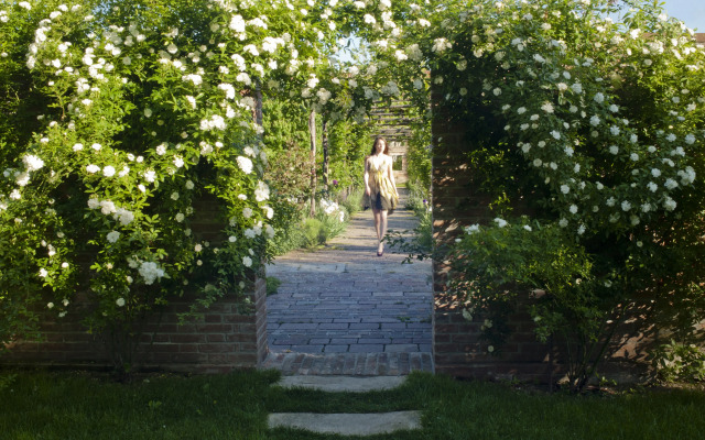 Bauer Palladio Hotel & Spa