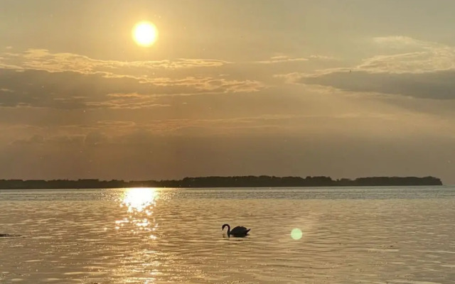 Lady and the Tramp Comfortable Vacation Home