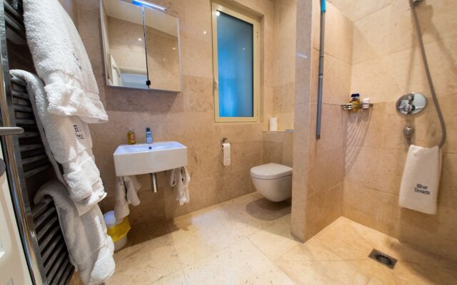 Blue Dream Cannes Guesthouse