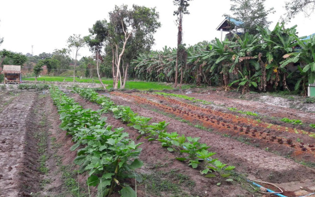 Phangan Farm Stay Resort