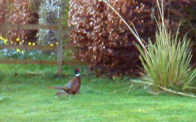 Redshill B&B