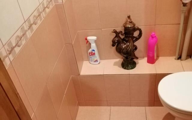 Апартаменты на улице Самойловой