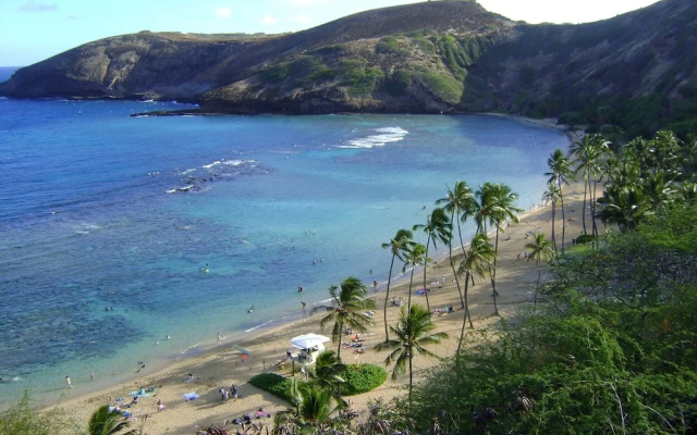 Kuhio Village 502A - 1 Br Condo