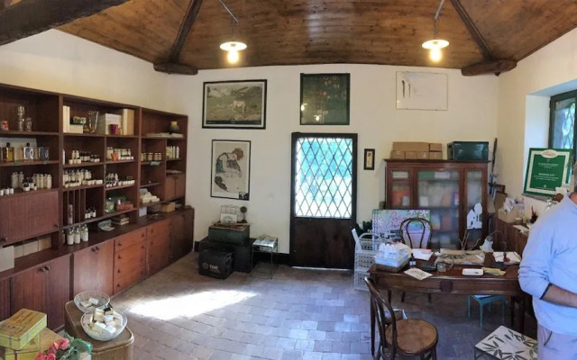 Malvarosa