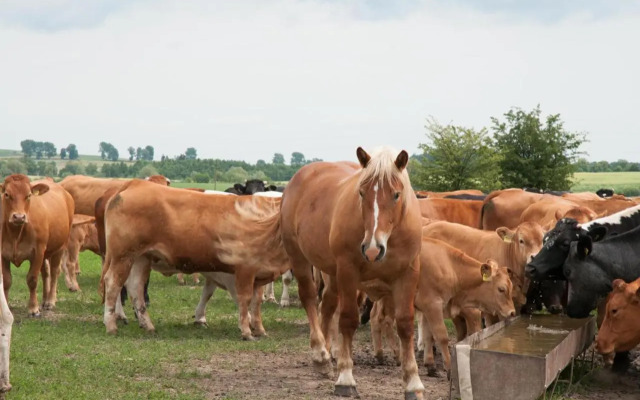 Agroturystyka Lolkowo