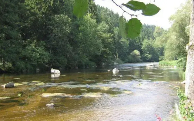Ferienhaus zur Weinlaube