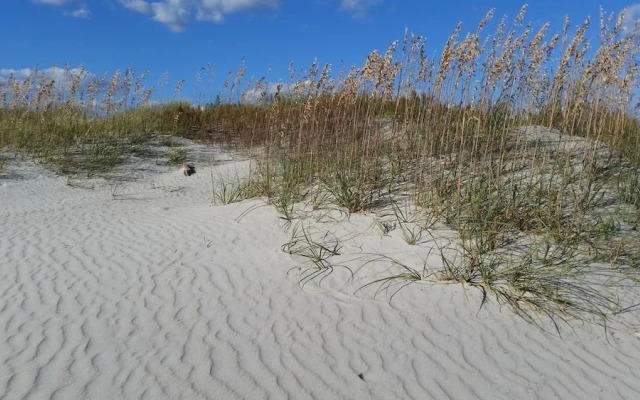 Avalon West- 5 Bedroom Home by RedAwning