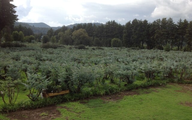 Rancho El Caballero Hotel