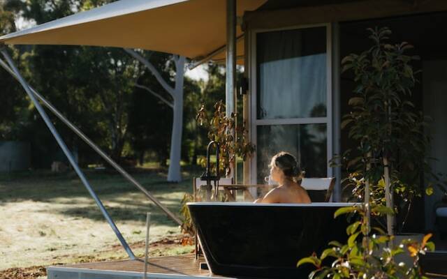 CANVS by CABN Seppeltsfield Barossa